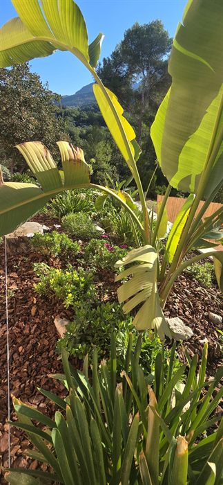 Le jardin fleuri avec la vallée en arrière-plan